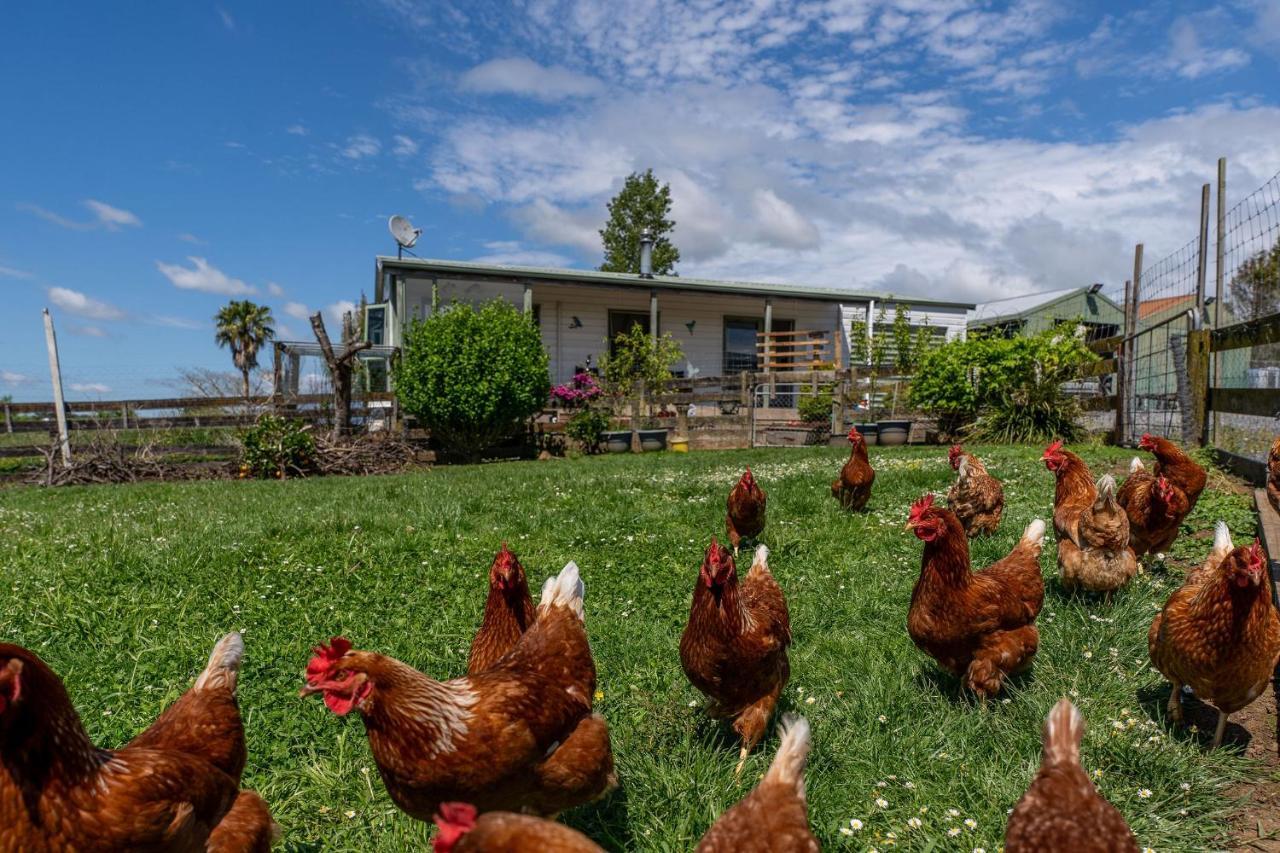 Fantail Cottage Χάμιλτον Εξωτερικό φωτογραφία